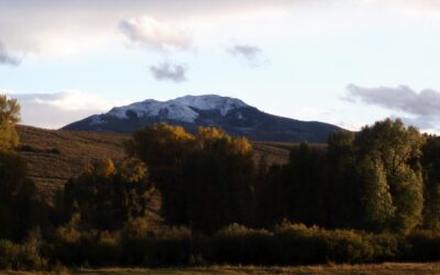 TRANSFORMACIJA in EGO (PRVI DEL)